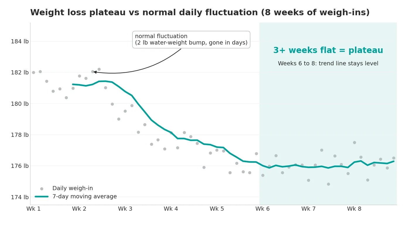Line chart of eight weeks of daily weigh-ins showing a normal two-pound water-weight fluctuation in week two, steady loss from 182 to 176 pounds through week five, and a flat seven-day average across weeks six to eight that marks a true weight loss plateau